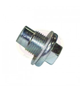 Tapón de Vacio Aceite - Motor - 2.5L (150) AMC