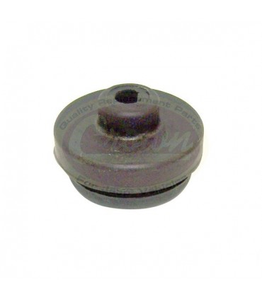 Tapón de Válvula - Motor - 2.5L (150) AMC