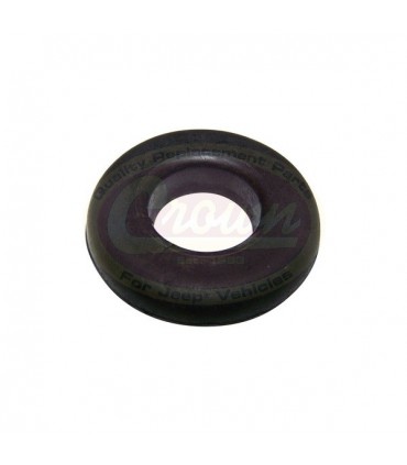 Tapón de Válvula 2946079 - Motor - 2.5L (150) AMC