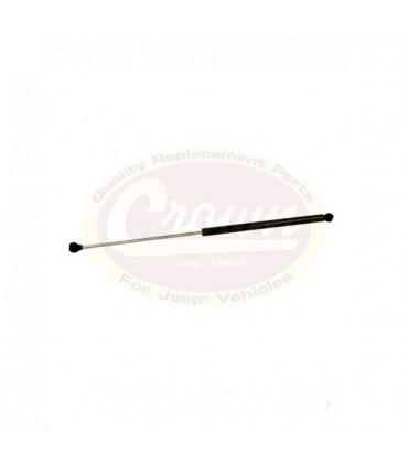 Amortiguador cristal porton