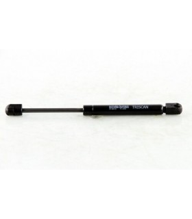 Amortiguador de capo