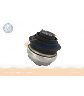 Soporte motor derecho