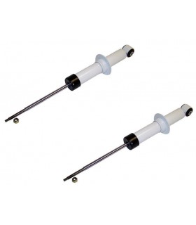 Juego de 2 amortiguador trasero