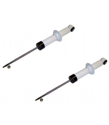 Juego de 2 amortiguador trasero