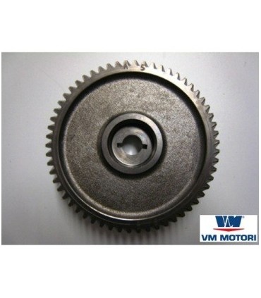 Piñon bomba inyectora