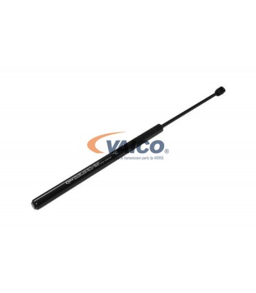 Amortiguador capo izquierdo