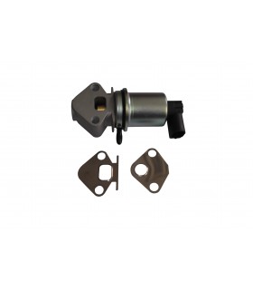 Válvula EGR 036131503M