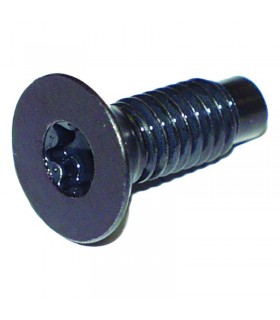 Tornillo torx marco parabrisas Jeep Wrangler YJ