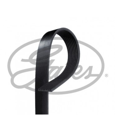 Correa accesorios Alternador