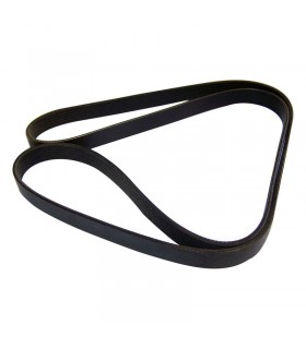 Correa 53010284 - Correas - Motor