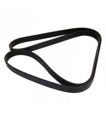 Correa 53010284 - Correas - Motor