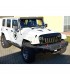 Parilla negra brillo Jeep Wrangler JK