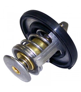 Termostato 55111016AC