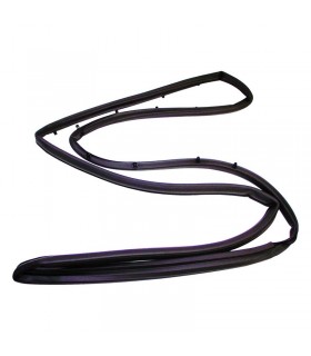 Goma puerta derecha 55176222