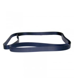 Correa 53007539 - Correas - Motor