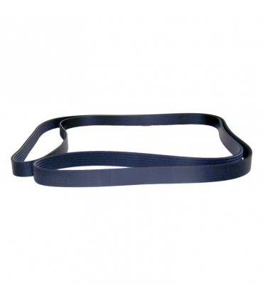 Correa 53007539 - Correas - Motor