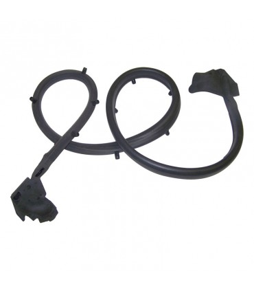 Goma puerta derecha 55009828