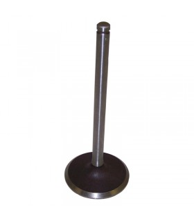 Válvula de Admisión - Motor - 2.5L (150) AMC